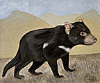 Nr 7 - The Tasmanian Devil (2022)